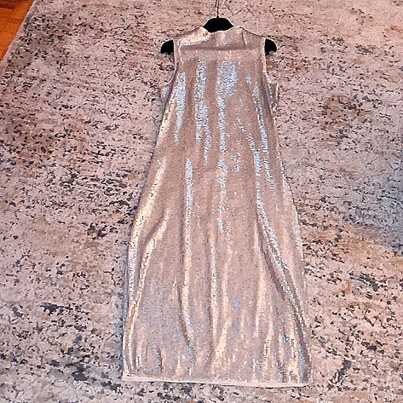 NWT Never Worn Sleeveless Silver Sequin Cocktail Cress! - Picture 7 of 15